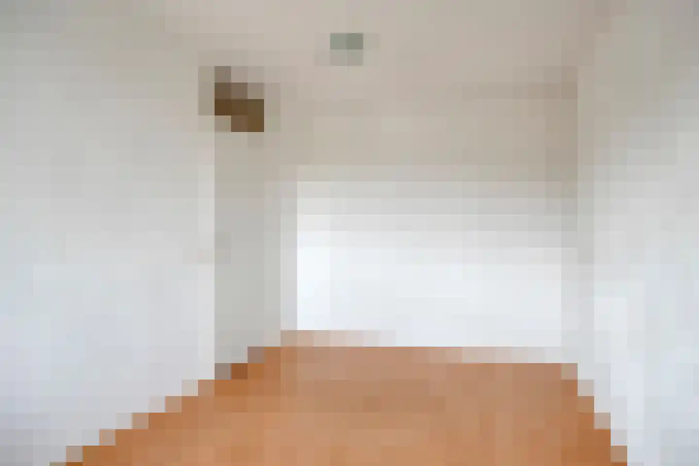 Zernikestraat 156 Tilburg thumbnail 19
