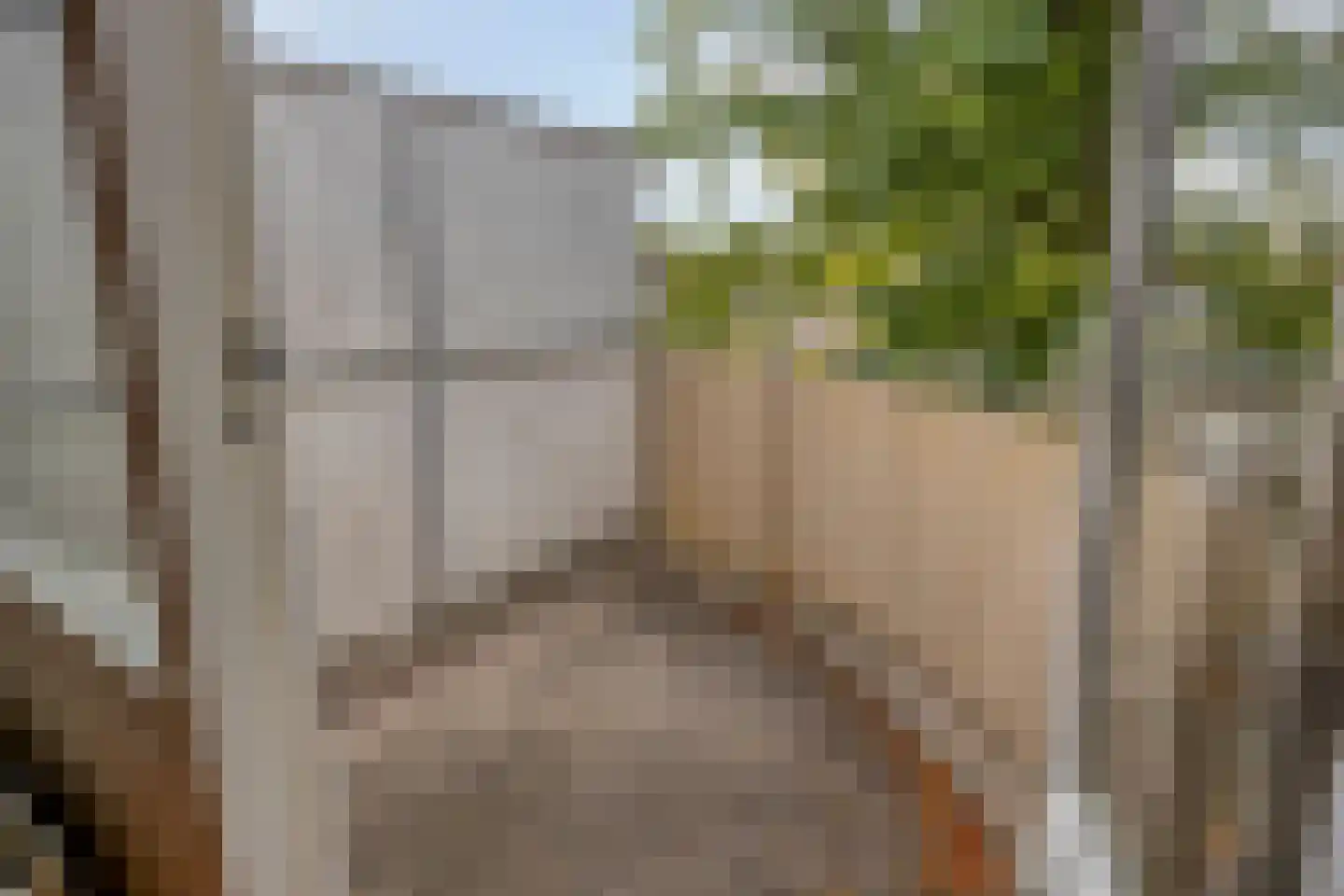 Zernikestraat 156 Tilburg thumbnail 22