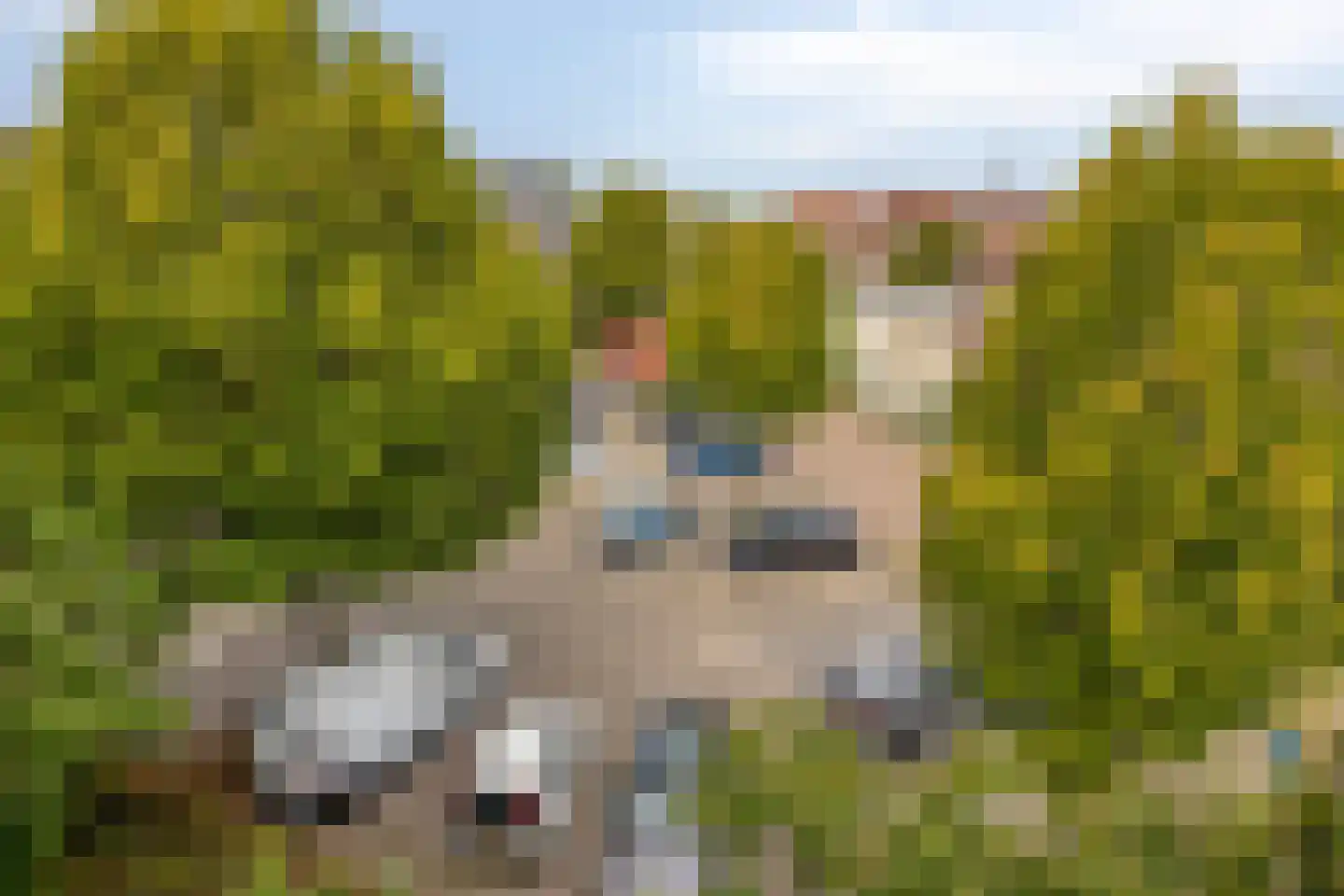 Zernikestraat 156 Tilburg thumbnail 26
