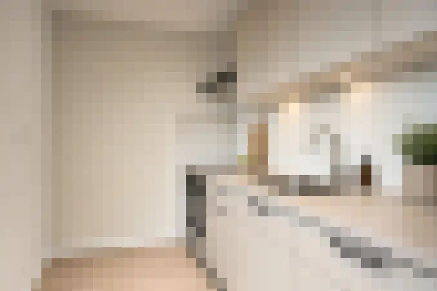 Zernikestraat 156 Tilburg thumbnail 6
