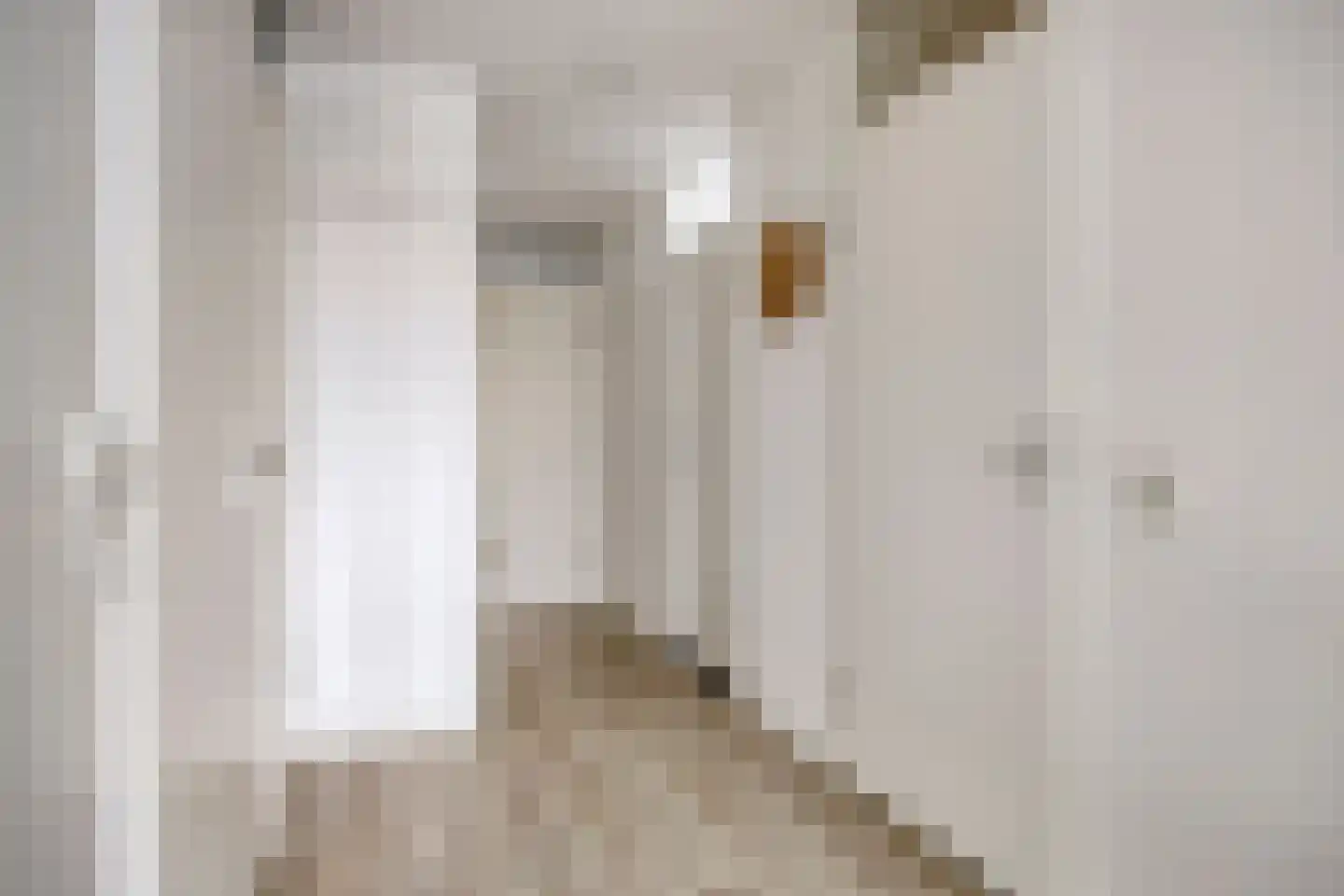 Zernikestraat 158 Tilburg thumbnail 7
