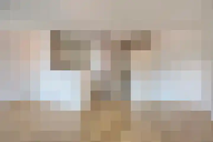 Zernikestraat 24 Tilburg thumbnail 13