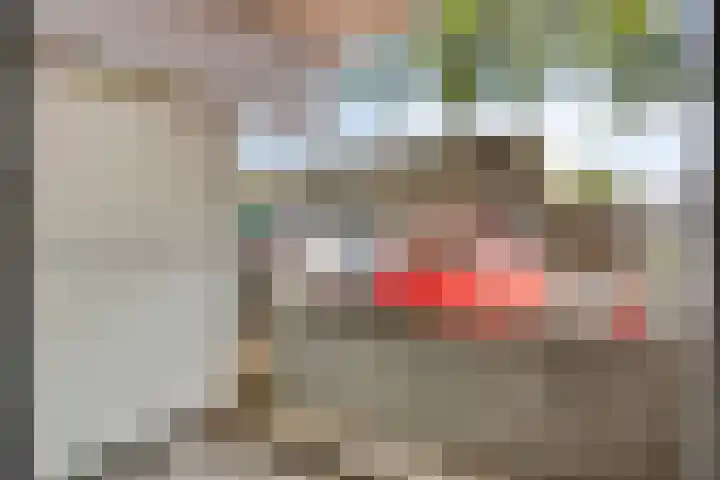 Zernikestraat 24 Tilburg thumbnail 21