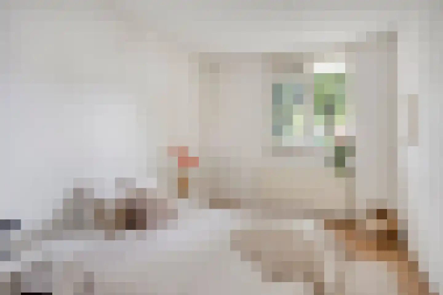 Zernikestraat 28 Tilburg thumbnail 19