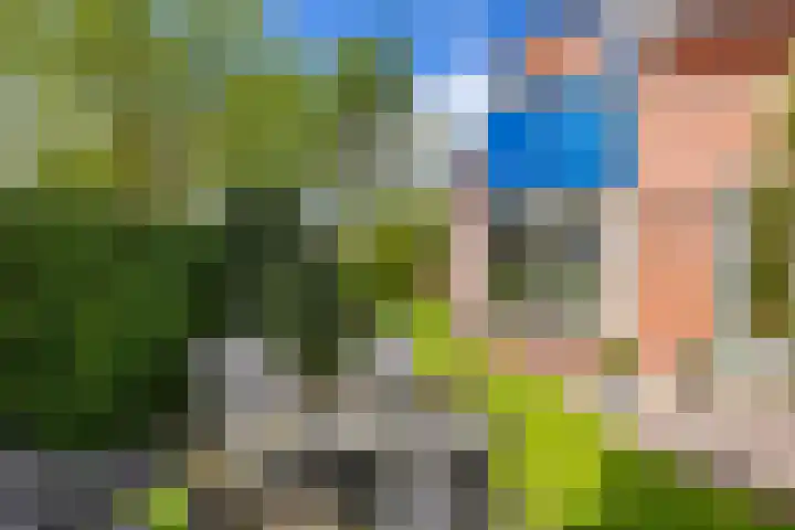 Zernikestraat 8 Assen thumbnail 47