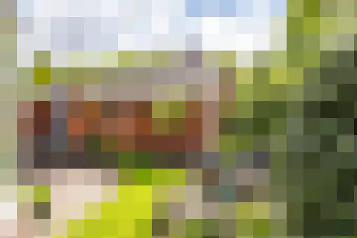 Zernikestraat 8 Assen thumbnail 50