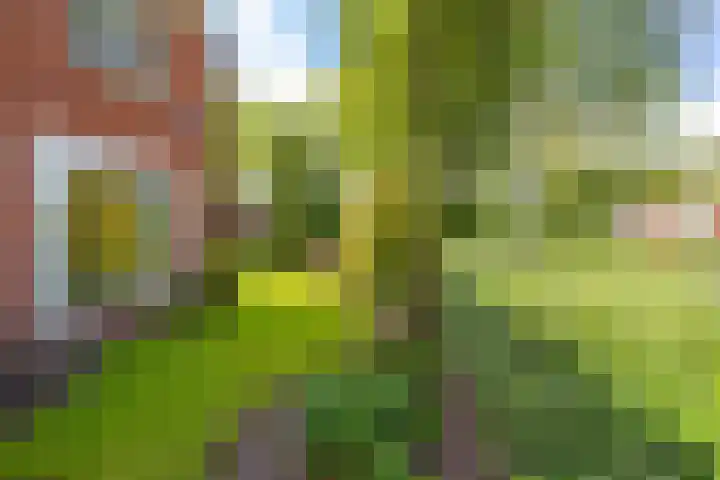 Zernikestraat 8 Assen thumbnail 7