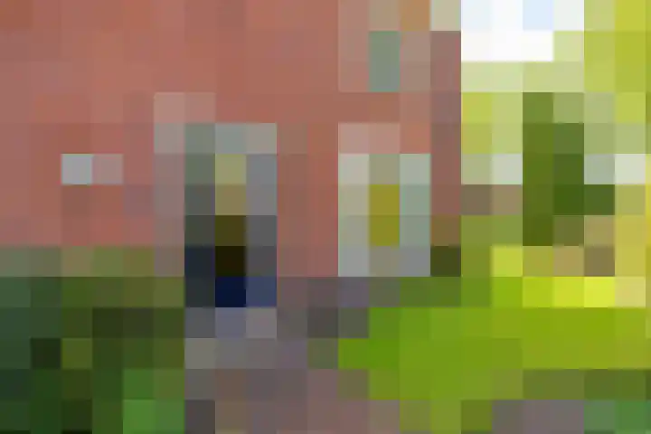 Zernikestraat 8 Assen thumbnail 8