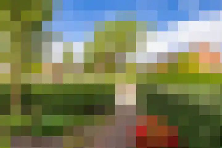 Zernikestraat 8 Assen thumbnail 9