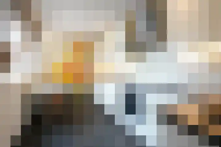 Zes Bundersveld 8 Gulpen thumbnail 16