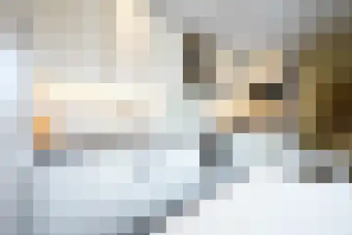 Zes Bundersveld 8 Gulpen thumbnail 17