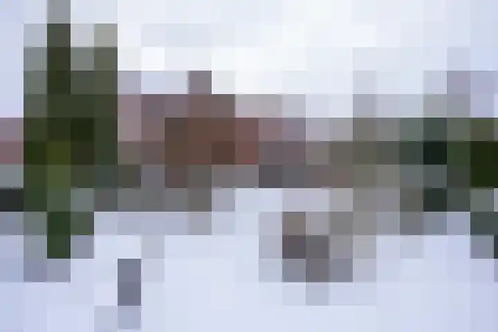 Zes Bundersveld 8 Gulpen thumbnail 26