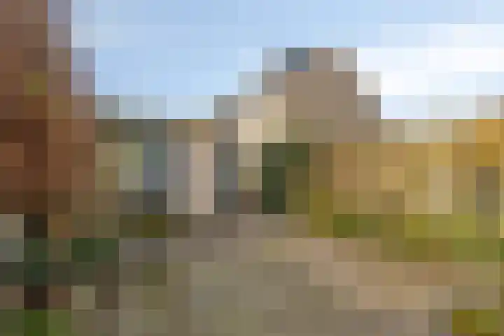 Zesbunder 50 Breda thumbnail 22
