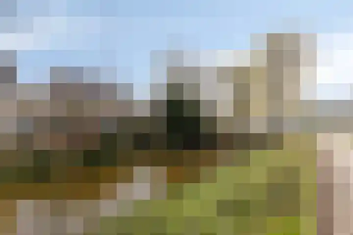 Zesbunder 50 Breda thumbnail 29