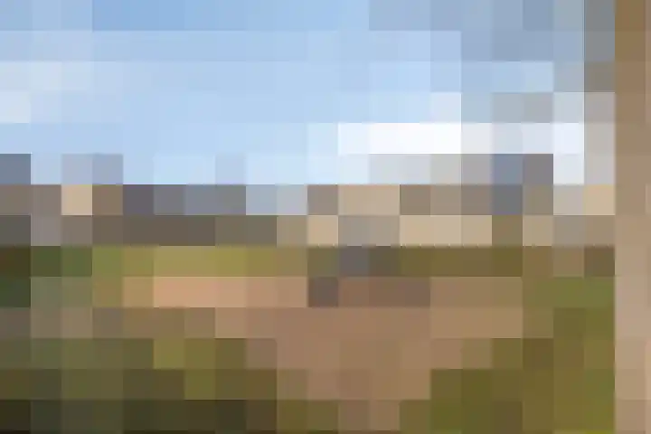 Zesbunder 50 Breda thumbnail 30