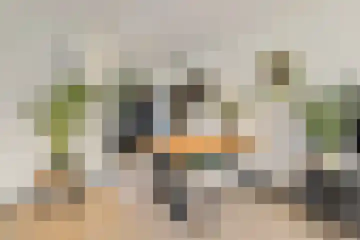 Zesbunder 50 Breda thumbnail 7