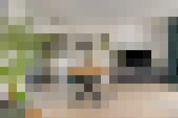 Zesbunder 50 Breda thumbnail 8