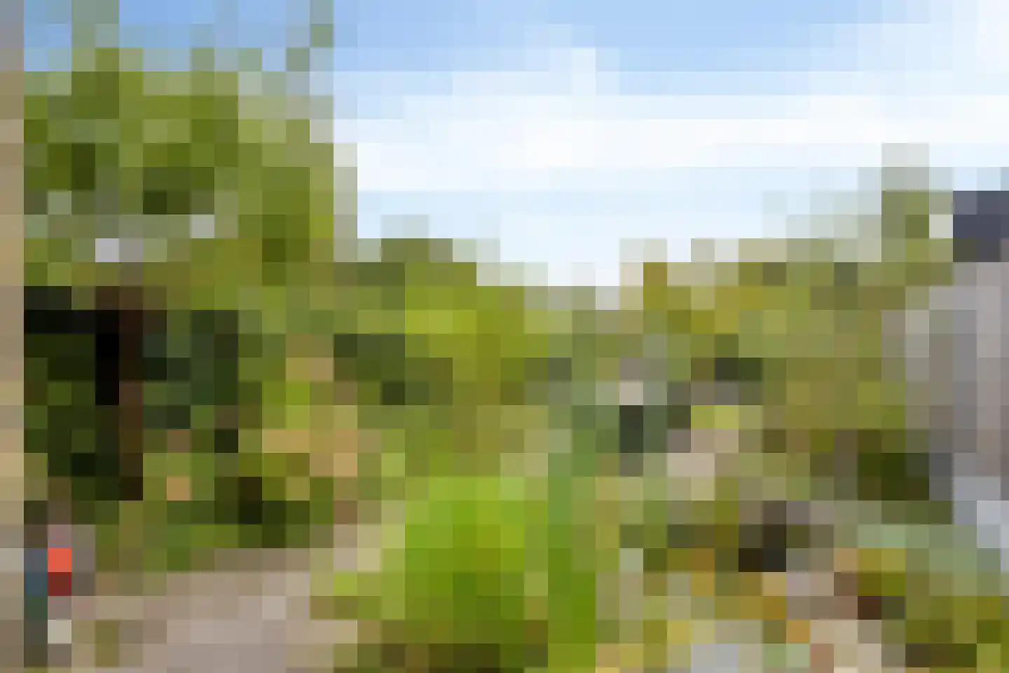 Zesde Buitenpepers 132 's-Hertogenbosch thumbnail 13