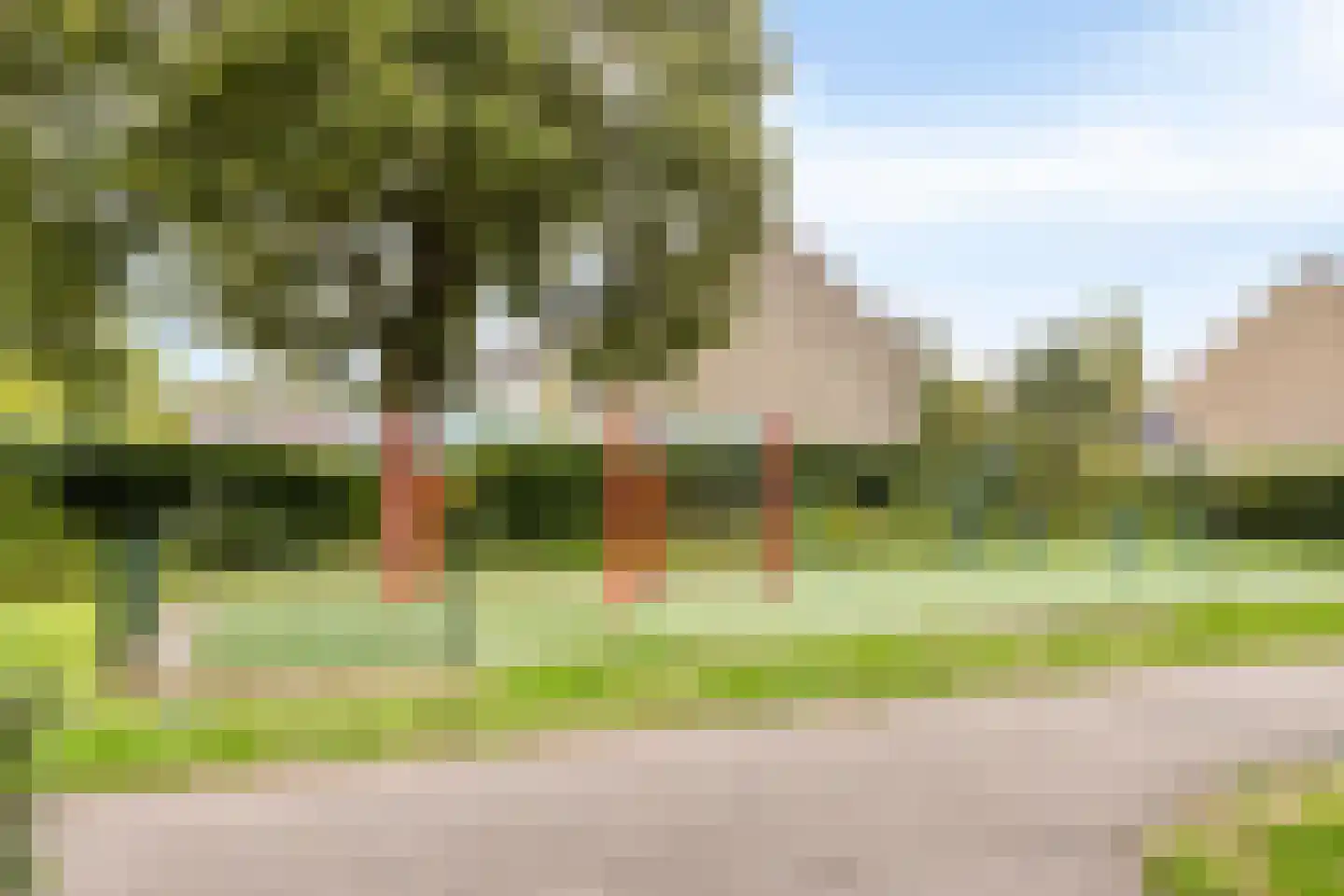 Zesde Buitenpepers 132 's-Hertogenbosch thumbnail 31