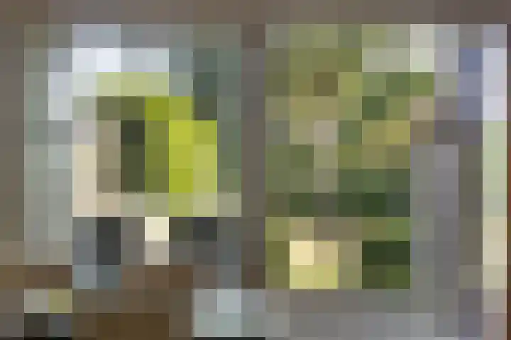 Zesde Buitenpepers 150 's-Hertogenbosch thumbnail 13