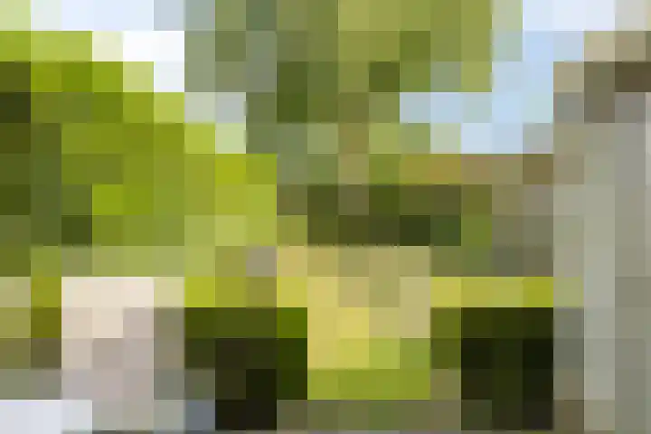 Zesde Buitenpepers 150 's-Hertogenbosch thumbnail 14