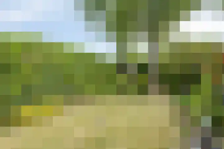 Zesde Buitenpepers 150 's-Hertogenbosch thumbnail 15
