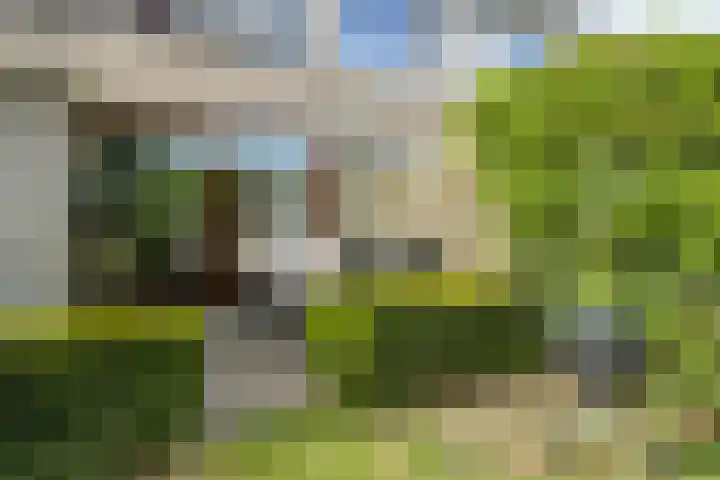 Zesde Buitenpepers 150 's-Hertogenbosch thumbnail 17