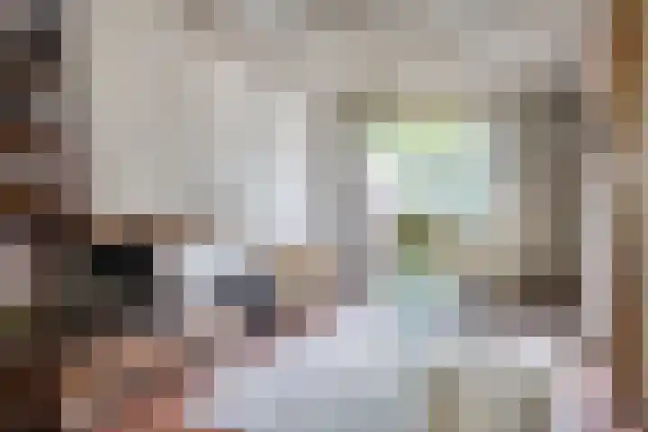 Zesde Buitenpepers 150 's-Hertogenbosch thumbnail 6