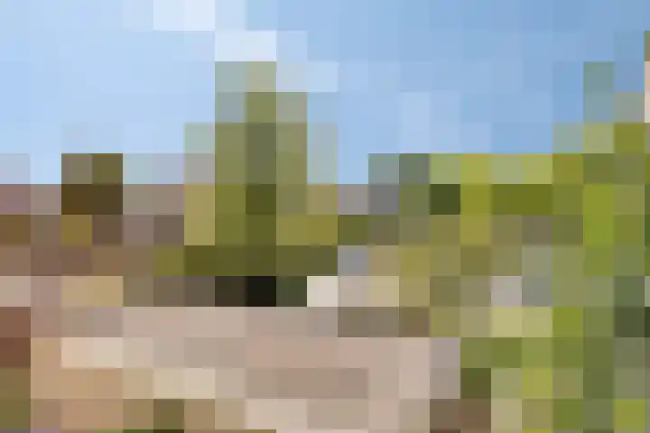 Zesde Buitenpepers 156 's-Hertogenbosch thumbnail 22