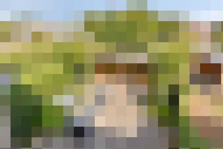 Zesde Buitenpepers 156 's-Hertogenbosch thumbnail 23