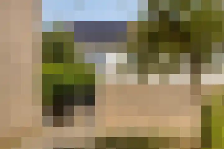 Zesde Buitenpepers 156 's-Hertogenbosch thumbnail 31