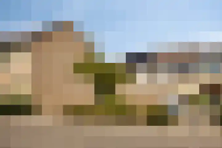 Zesde Buitenpepers 156 's-Hertogenbosch thumbnail 32