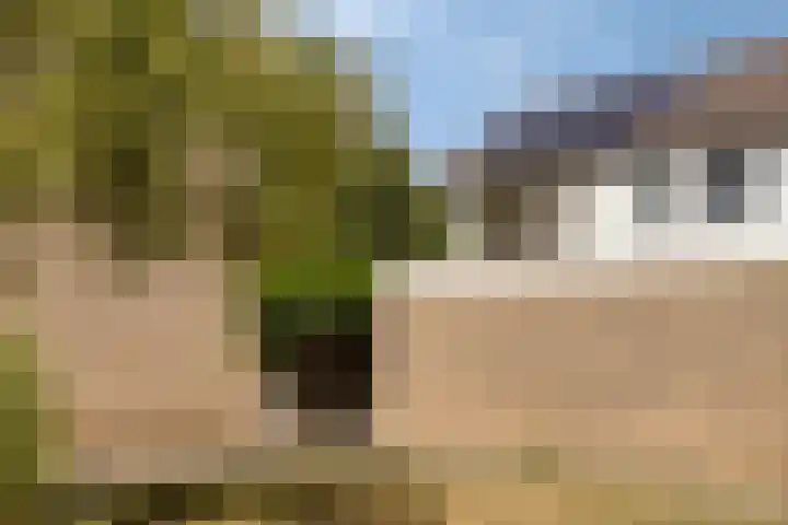 Zesde Buitenpepers 156 's-Hertogenbosch thumbnail 33