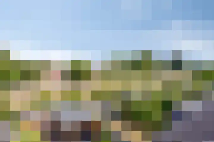 Zesde Buitenpepers 156 's-Hertogenbosch thumbnail 36