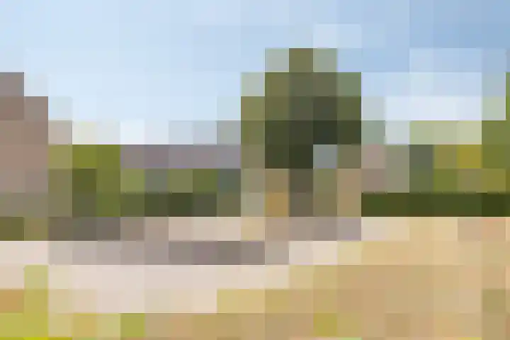 Zesde Buitenpepers 156 's-Hertogenbosch thumbnail 39