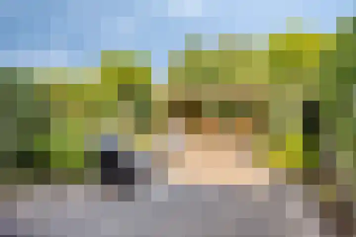 Zesde Buitenpepers 156 's-Hertogenbosch thumbnail 4