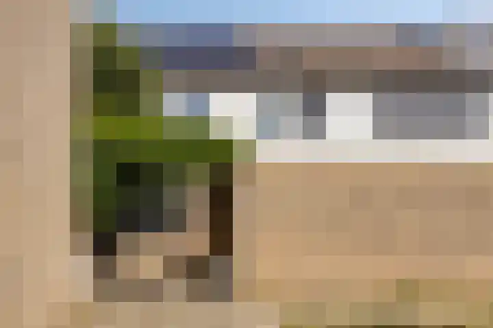 Zesde Buitenpepers 156 's-Hertogenbosch thumbnail 45