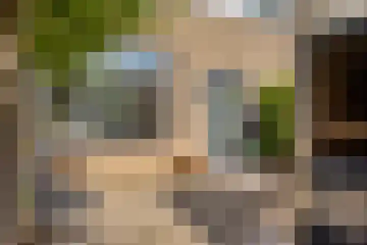 Zesde Buitenpepers 156 's-Hertogenbosch thumbnail 5