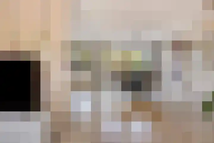 Zesde Buitenpepers 156 's-Hertogenbosch thumbnail 8