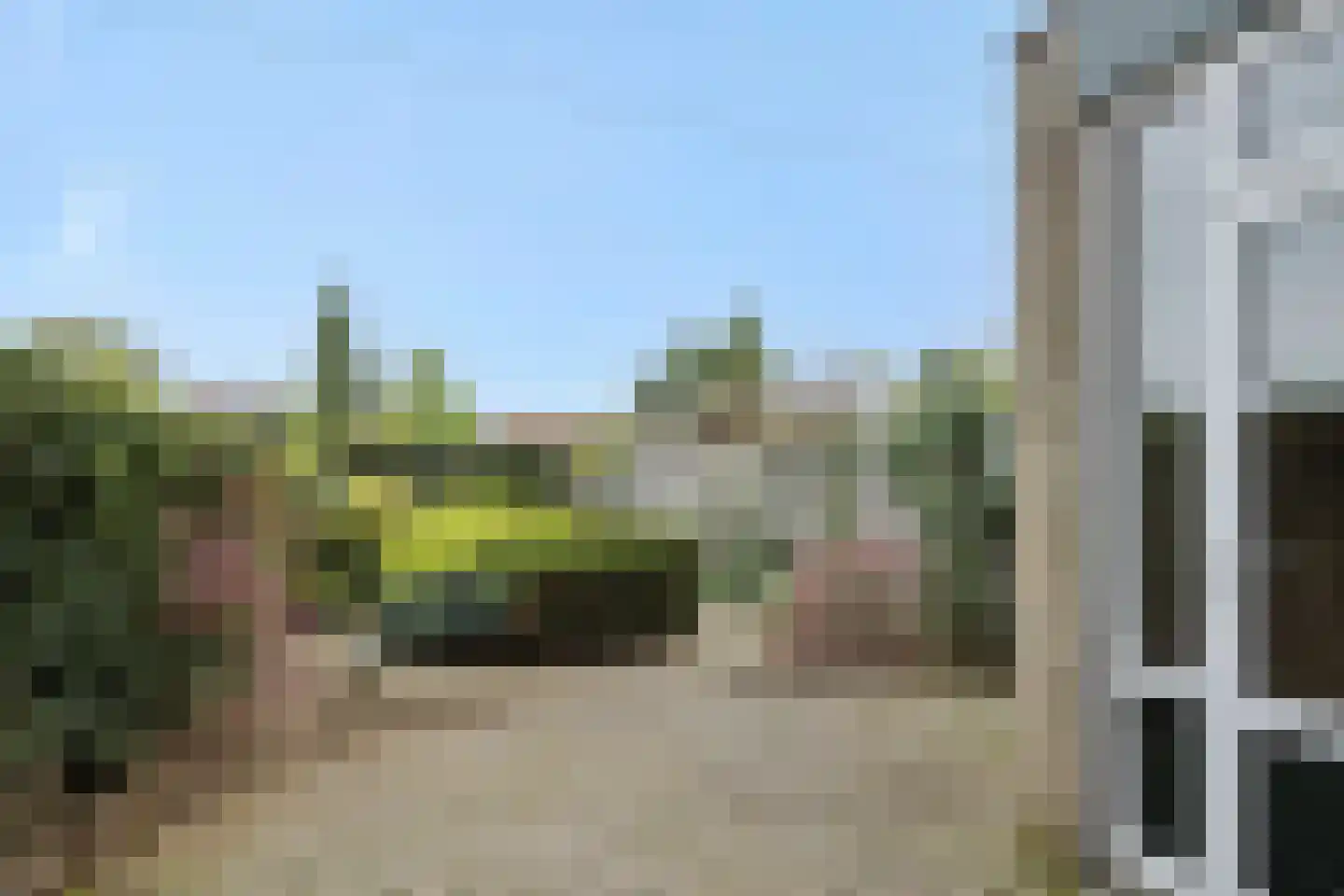 Zesde Buitenpepers 166 's-Hertogenbosch thumbnail 23