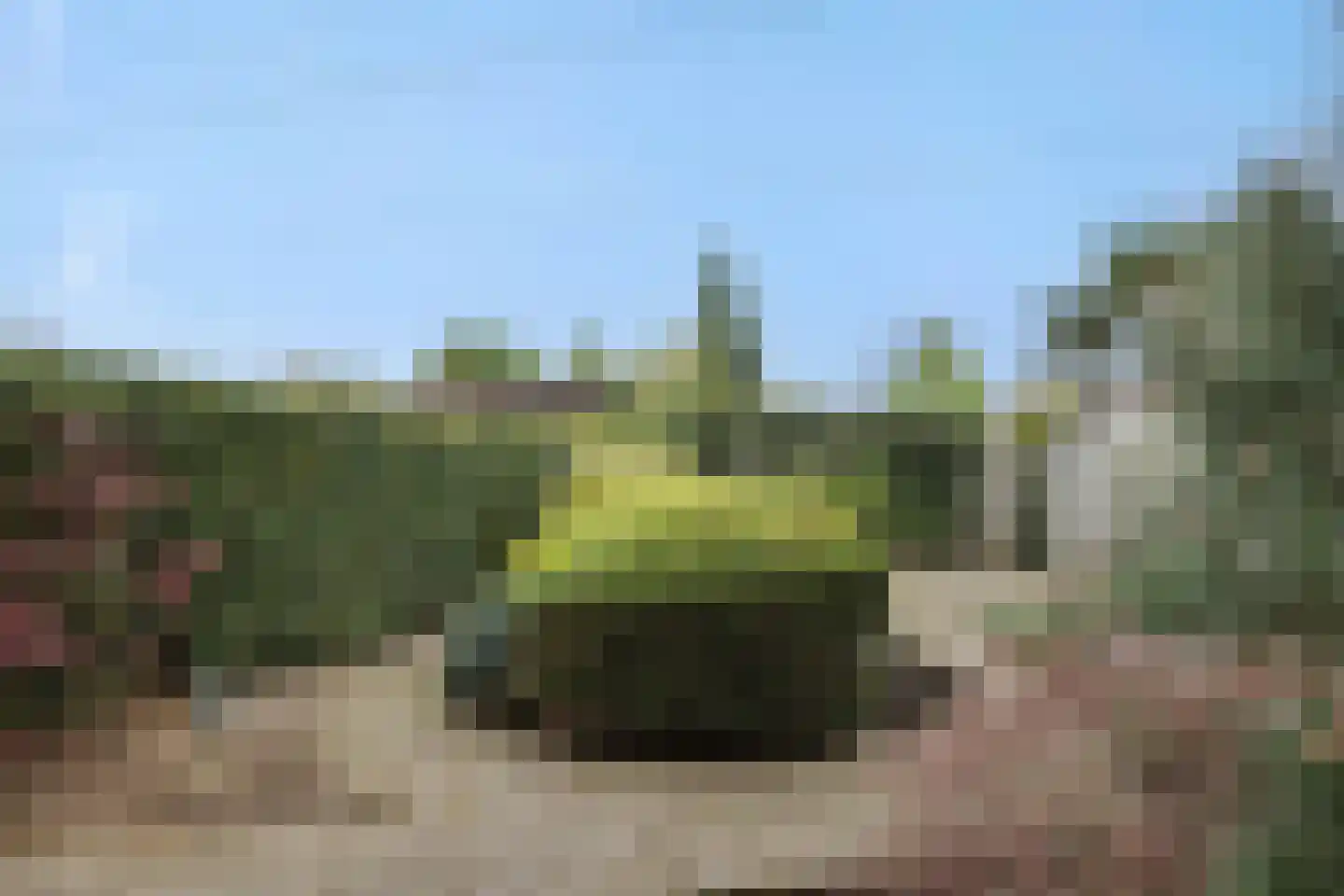 Zesde Buitenpepers 166 's-Hertogenbosch thumbnail 24