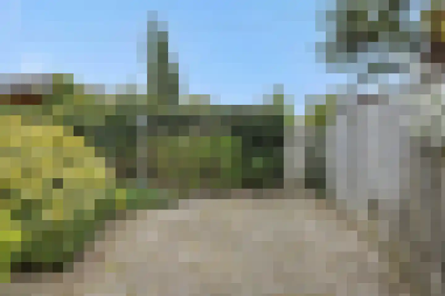 Zesde Buitenpepers 166 's-Hertogenbosch thumbnail 25