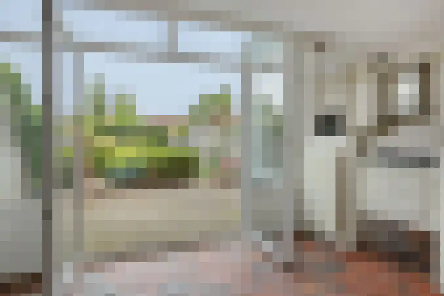 Zesde Buitenpepers 166 's-Hertogenbosch thumbnail 8