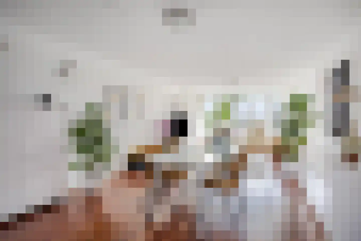 Zesde Buitenpepers 24 's-Hertogenbosch thumbnail 13