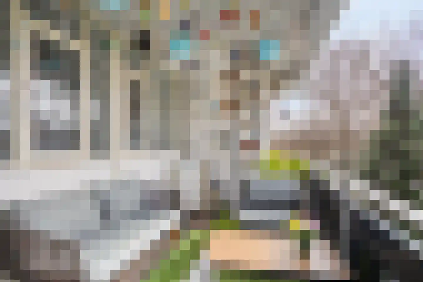 Zesde Buitenpepers 24 's-Hertogenbosch thumbnail 27
