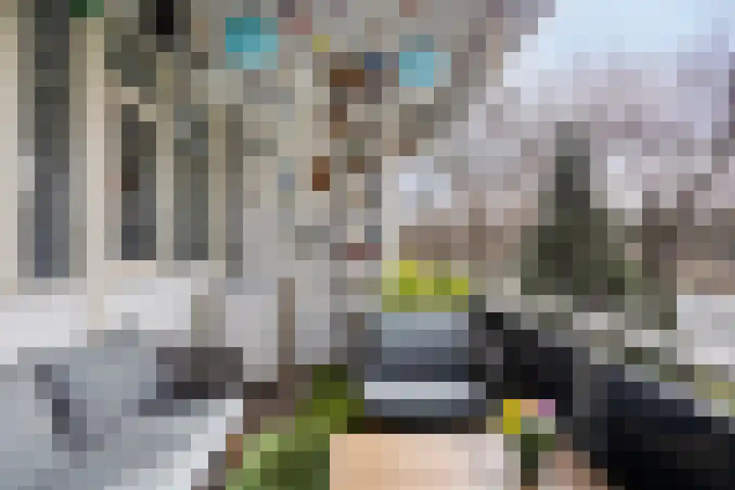 Zesde Buitenpepers 24 's-Hertogenbosch thumbnail 28