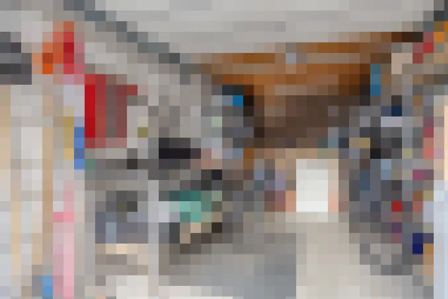 Zesde Buitenpepers 24 's-Hertogenbosch thumbnail 33