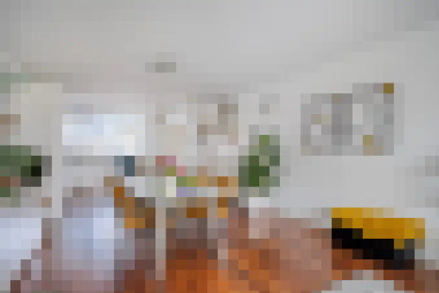 Zesde Buitenpepers 24 's-Hertogenbosch thumbnail 4