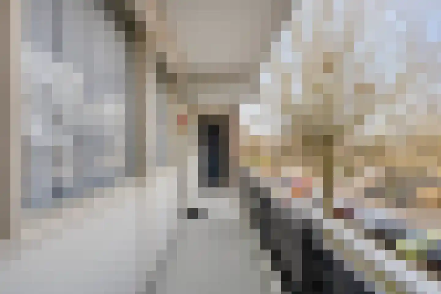 Zesde Buitenpepers 24 's-Hertogenbosch thumbnail 9