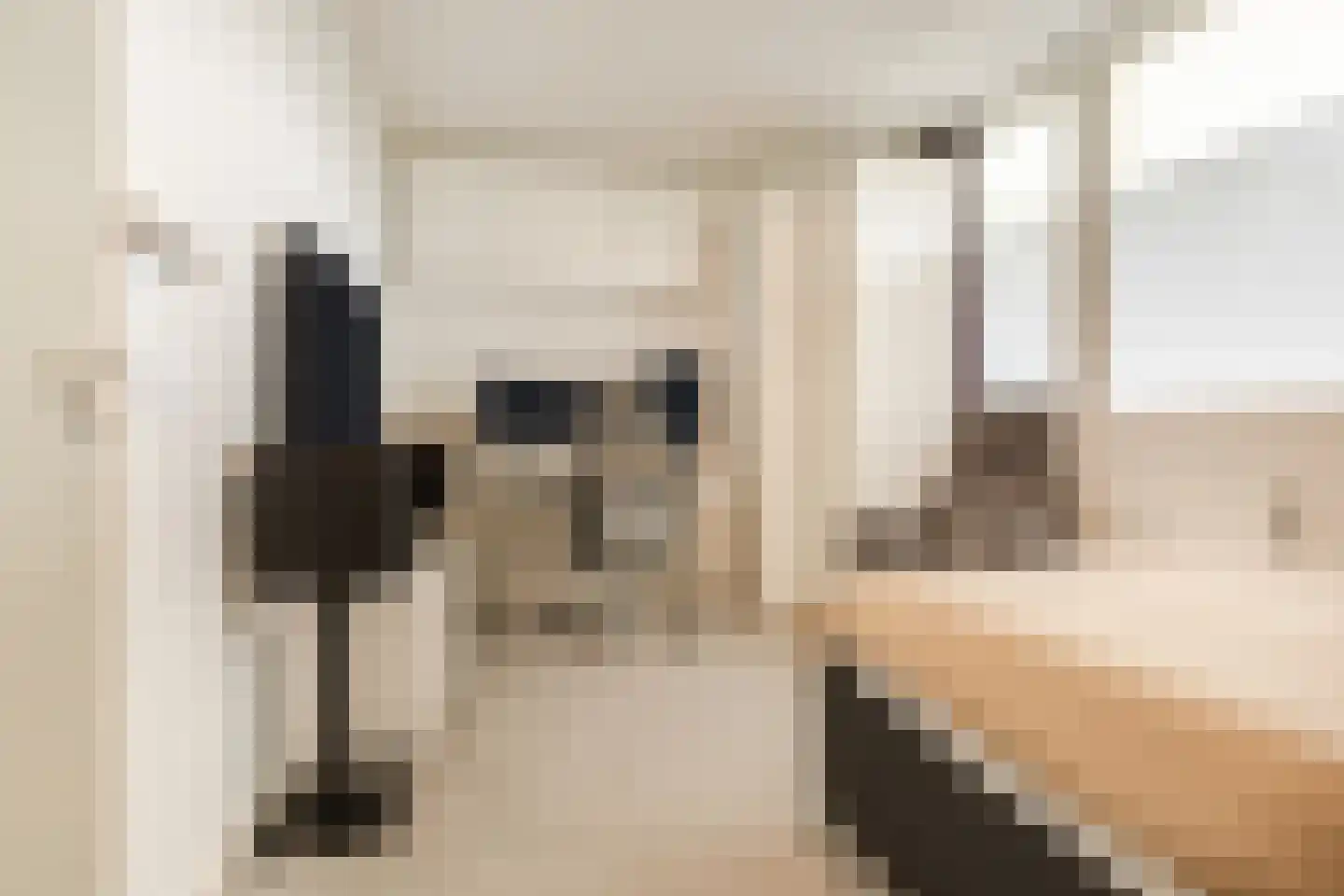 Zesde Buitenpepers 30 's-Hertogenbosch thumbnail 16